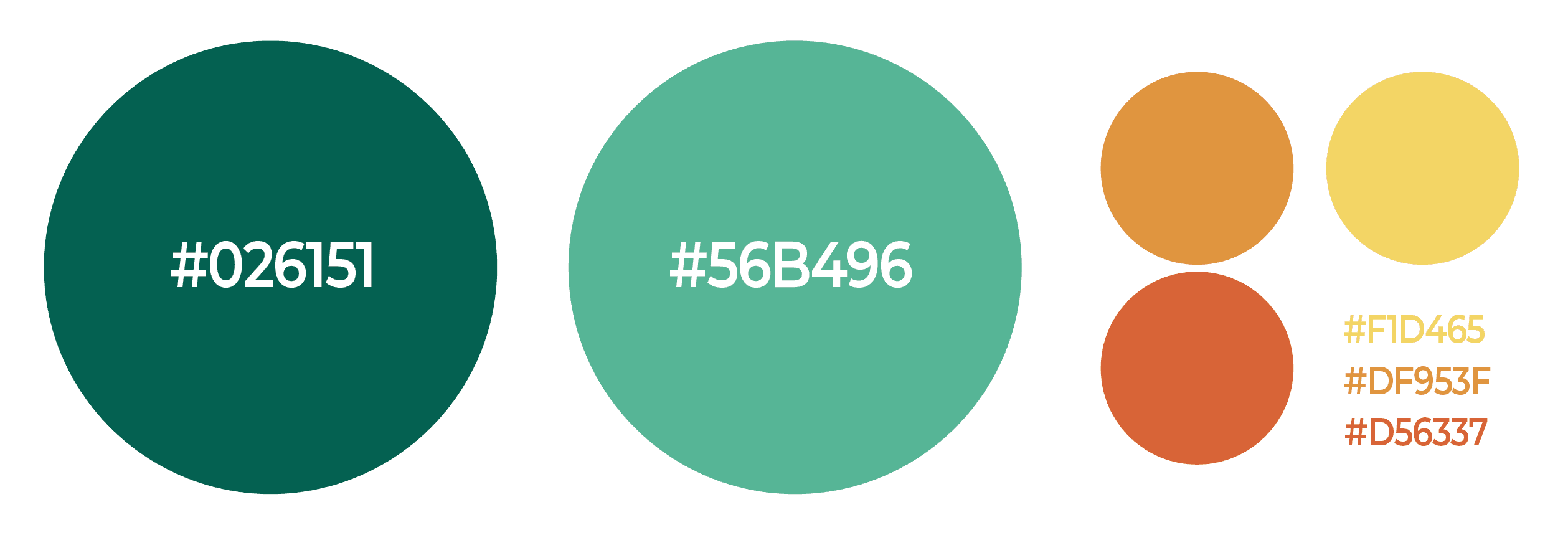 HealthWarehouse brand color palette showing primary and secondary colors